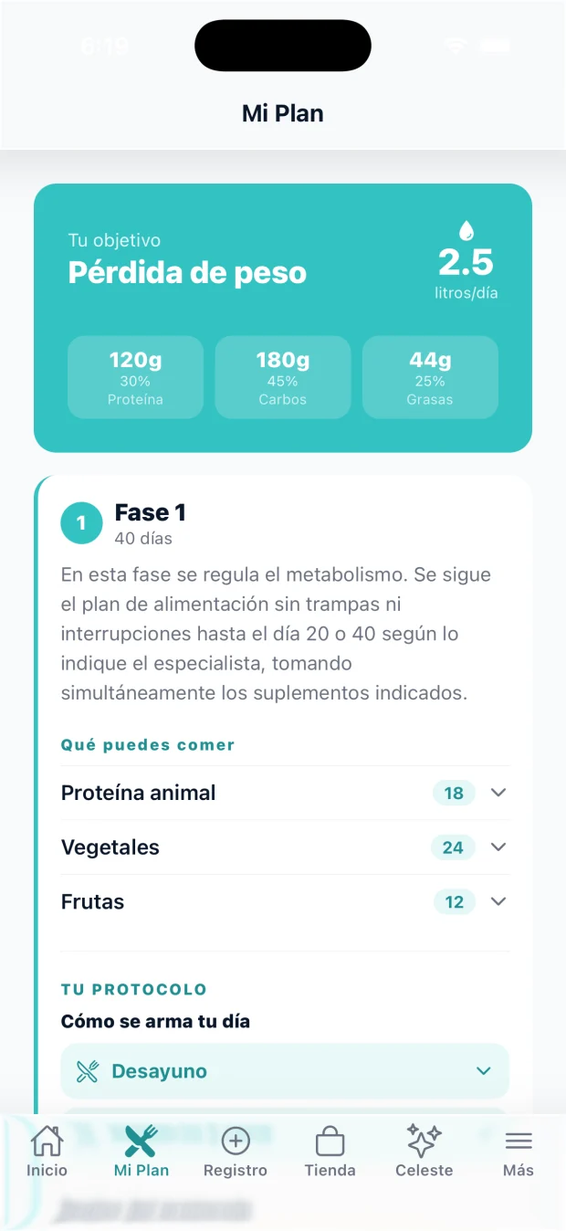 Tu plan nutricional, con la fase y los alimentos permitidos